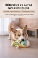 Tênis Mordedor Interativo com Corda para Cães