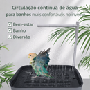 Banheira Automática para Pássaros