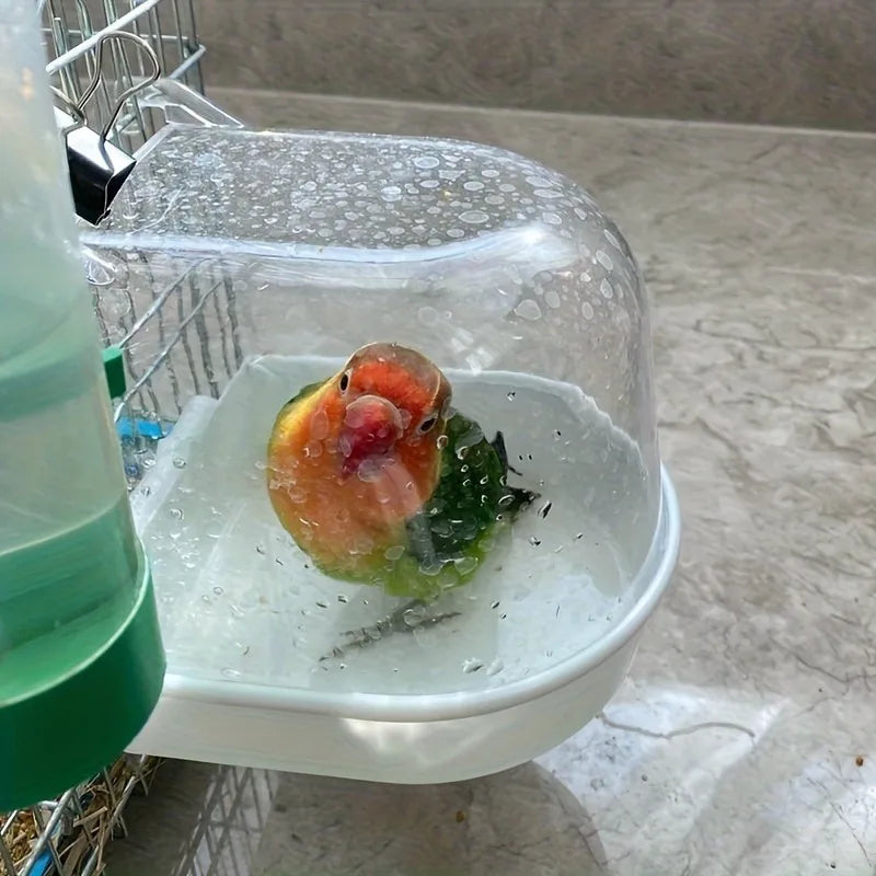 Banheira Transparente para Pássaros