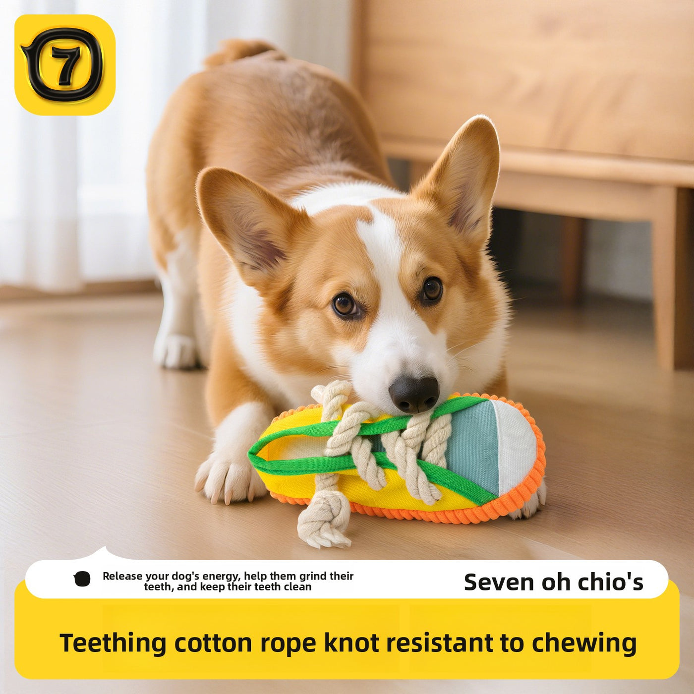 Tênis Mordedor Interativo com Corda para Cães